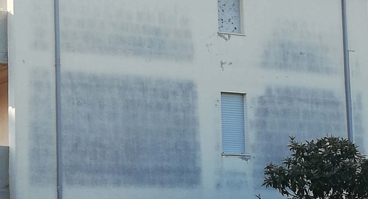 eliminare la muffa